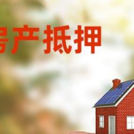 新华抵押贷款用什么抵押物?